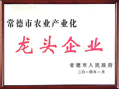 声誉资质2