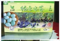 bte365,油茶莳植生产加工销售,植物油莳植生产加工销售